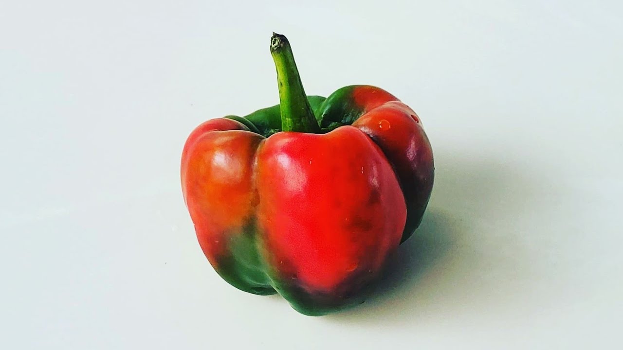 Antep Aci Dolma... a heirloom bell pepper variety!