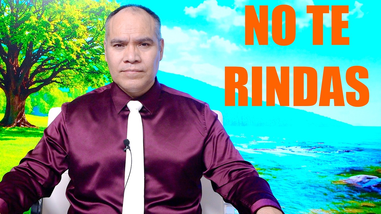 La dimensión de la mañana : NO TE RINDAS