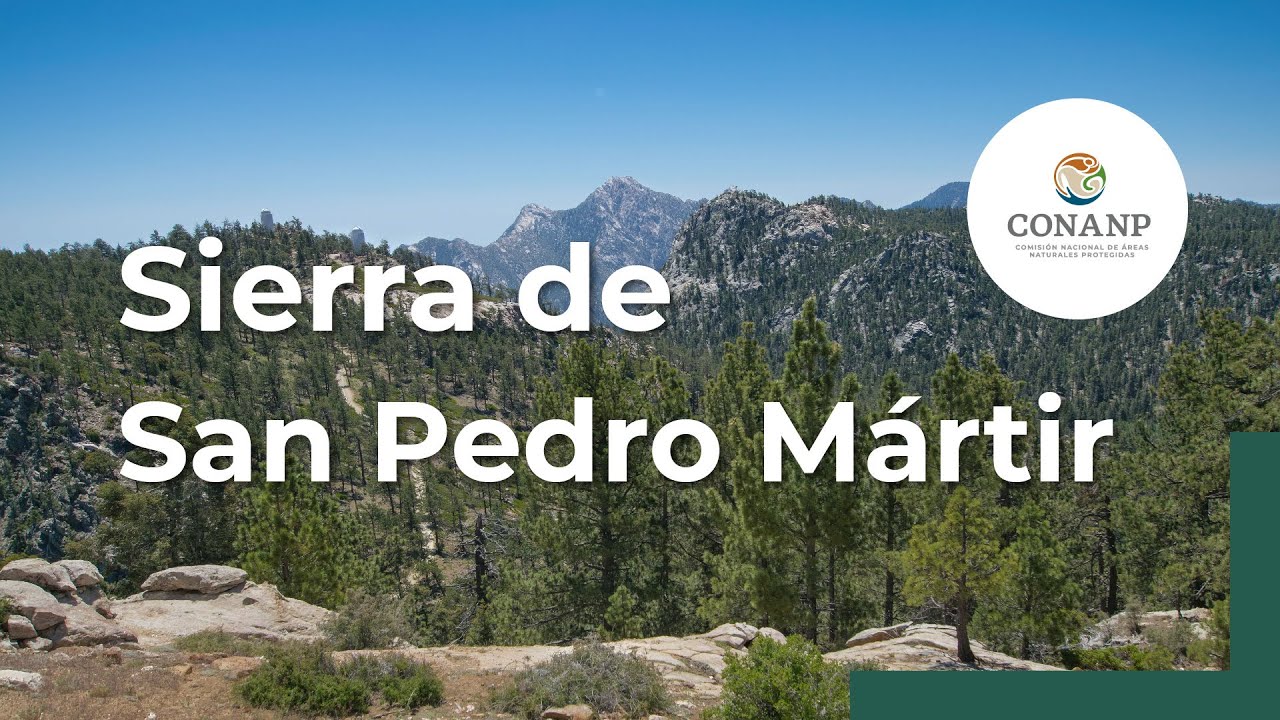 Sierra de San Pedro Mártir: Conectividad en la Península de California