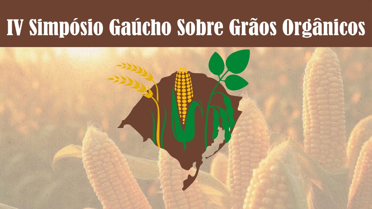Terceira noite - IV Simp&oacute;sio Ga&uacute;cho sobre Gr&atilde;os Org&acirc;nicos