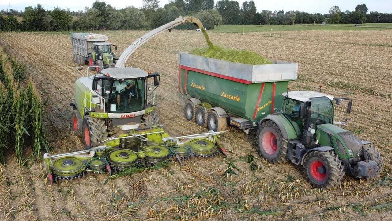 SILAGE 2021 | INSILATO MAIS / CLAAS JAGUAR SHREDLAGE 970 | NARDOTTO