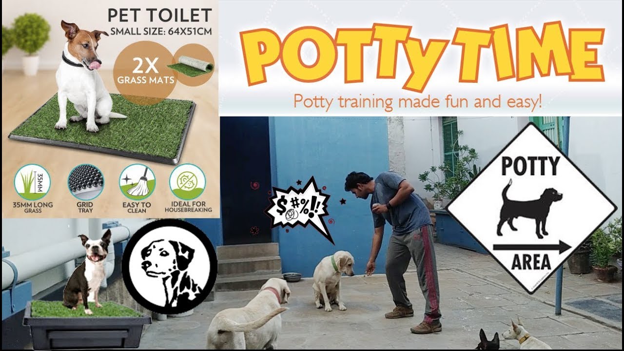 Potty Training For Your Dog Or Puppy In Tamil