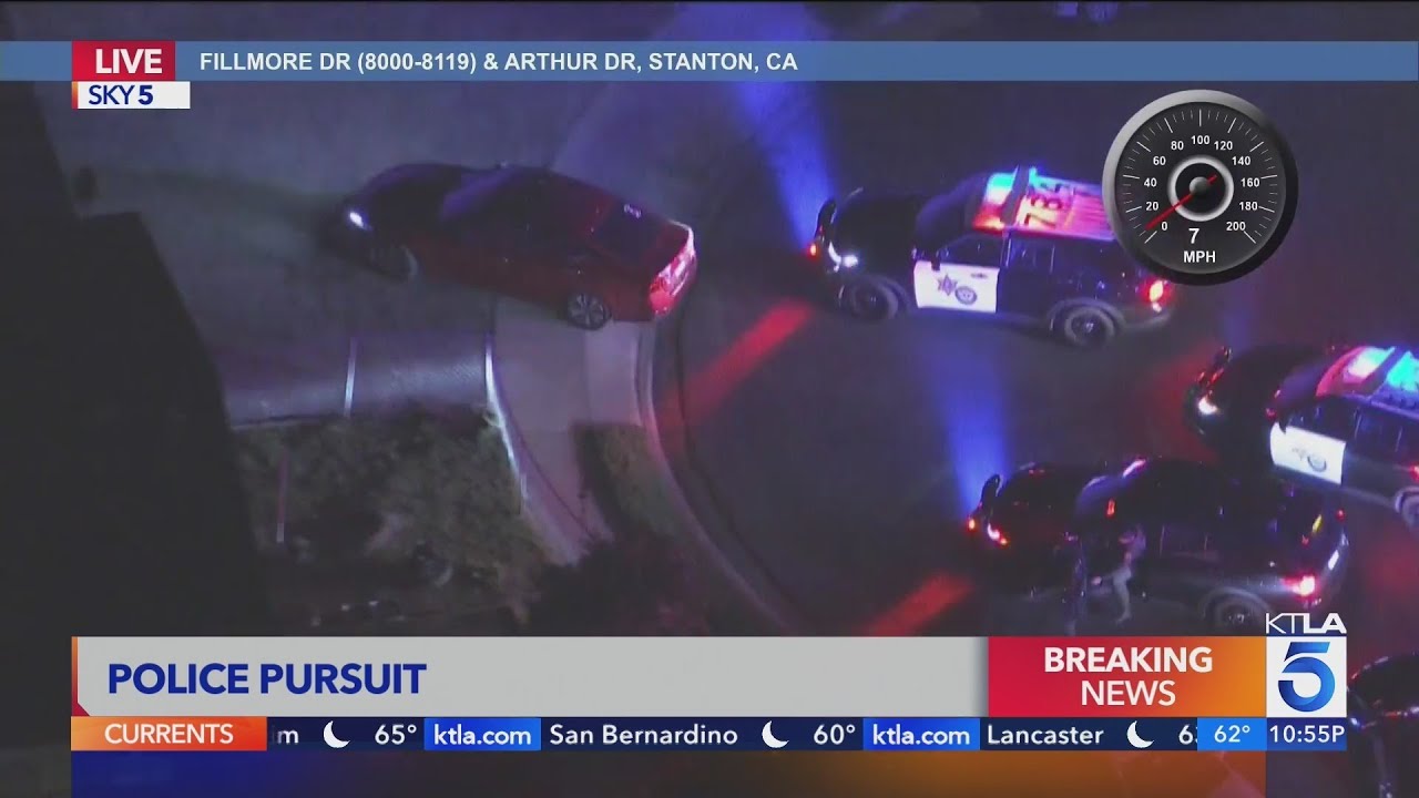 Pursuit suspect kisses dog goodbye before getting arrested