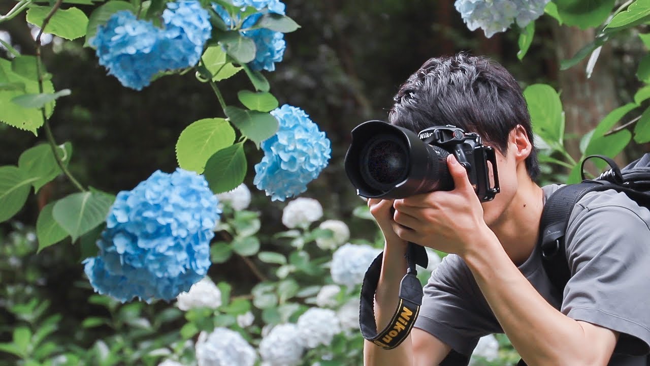 紫陽花に導かれたカメラマンの一日。