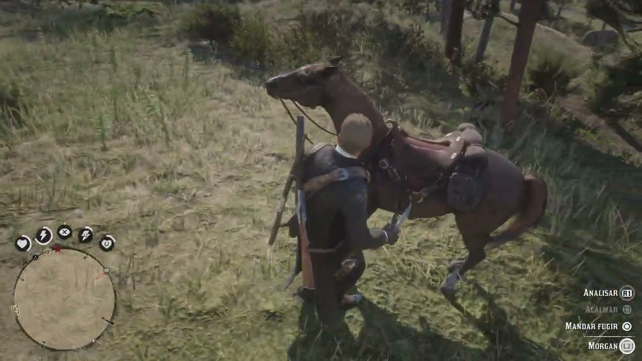 Red Dead Redemption 2 (PS5) 4k #6