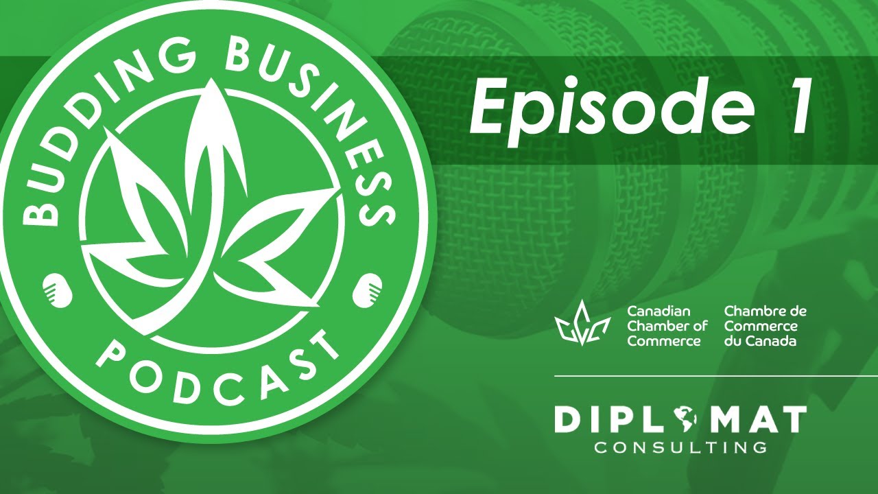 Budding Business - Episode 1
