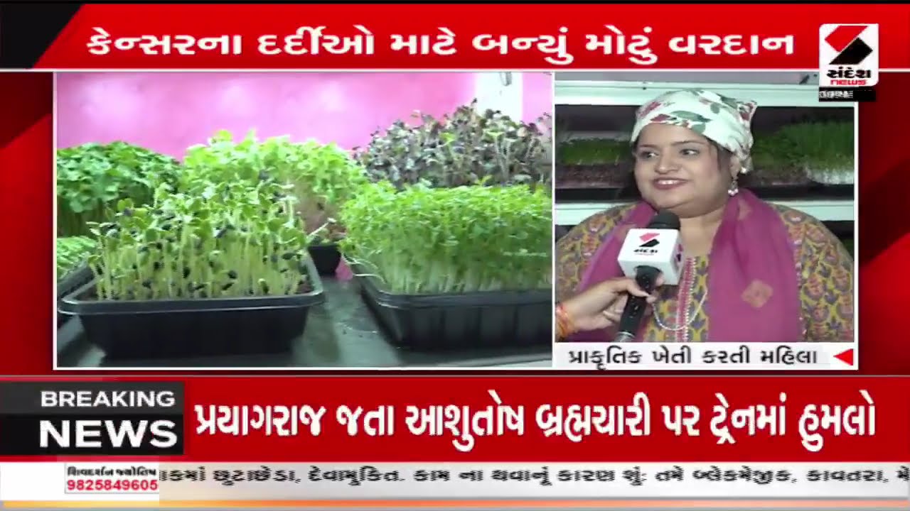 Ahmedabad | અમદાવાદની અદિતિએ શરૂ કરી અનોખી ખેતી | International Women's day | Gujarat | Farming
