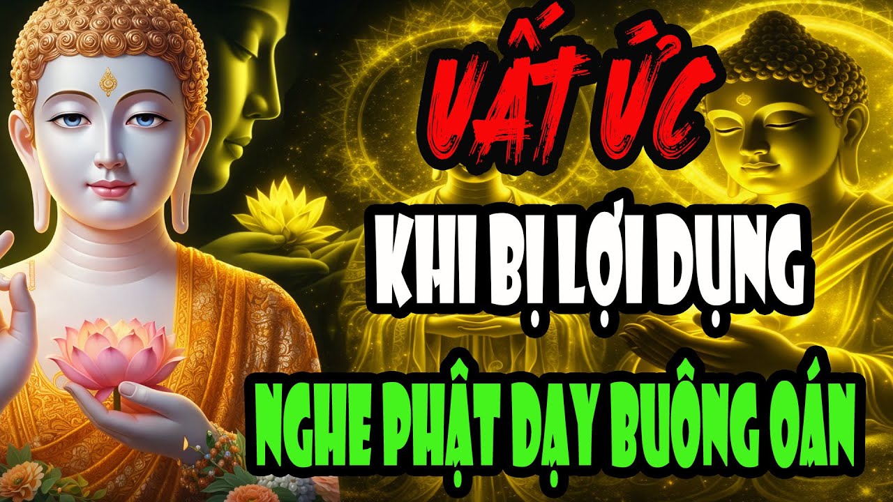 Lúc Bị Người Khác Lợi Dụng Làm Bạn Uất Ức – Phật Dạy Buông Oán Để Tâm Bình Yên