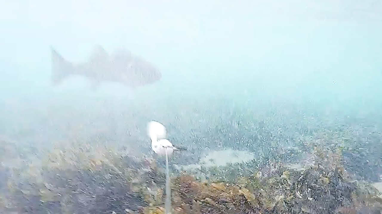 Blank or what happens under the water