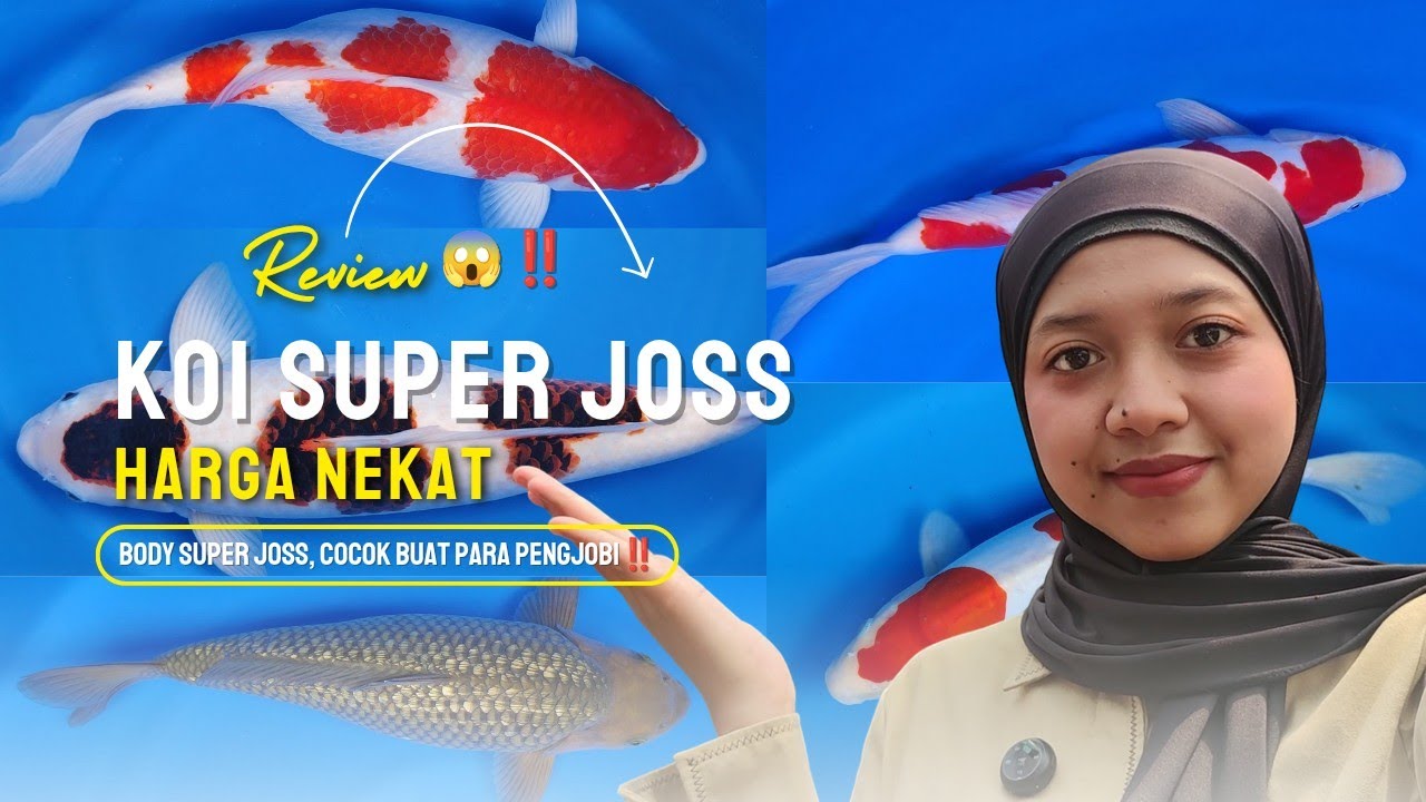 KUALITAS JOSS, BODY GAHAR😱✨ HARGA NEKAT‼️‼️