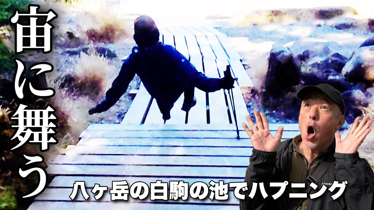 【危険】霜で転倒！もののけの森八ヶ岳ハイキング！日本三大苔の森を歩く周回コース完全ガイド【白駒の池】標高2100m以上では日本最大の天然湖！メルヘン街道最高地点【旅行VLOG、レビュー】