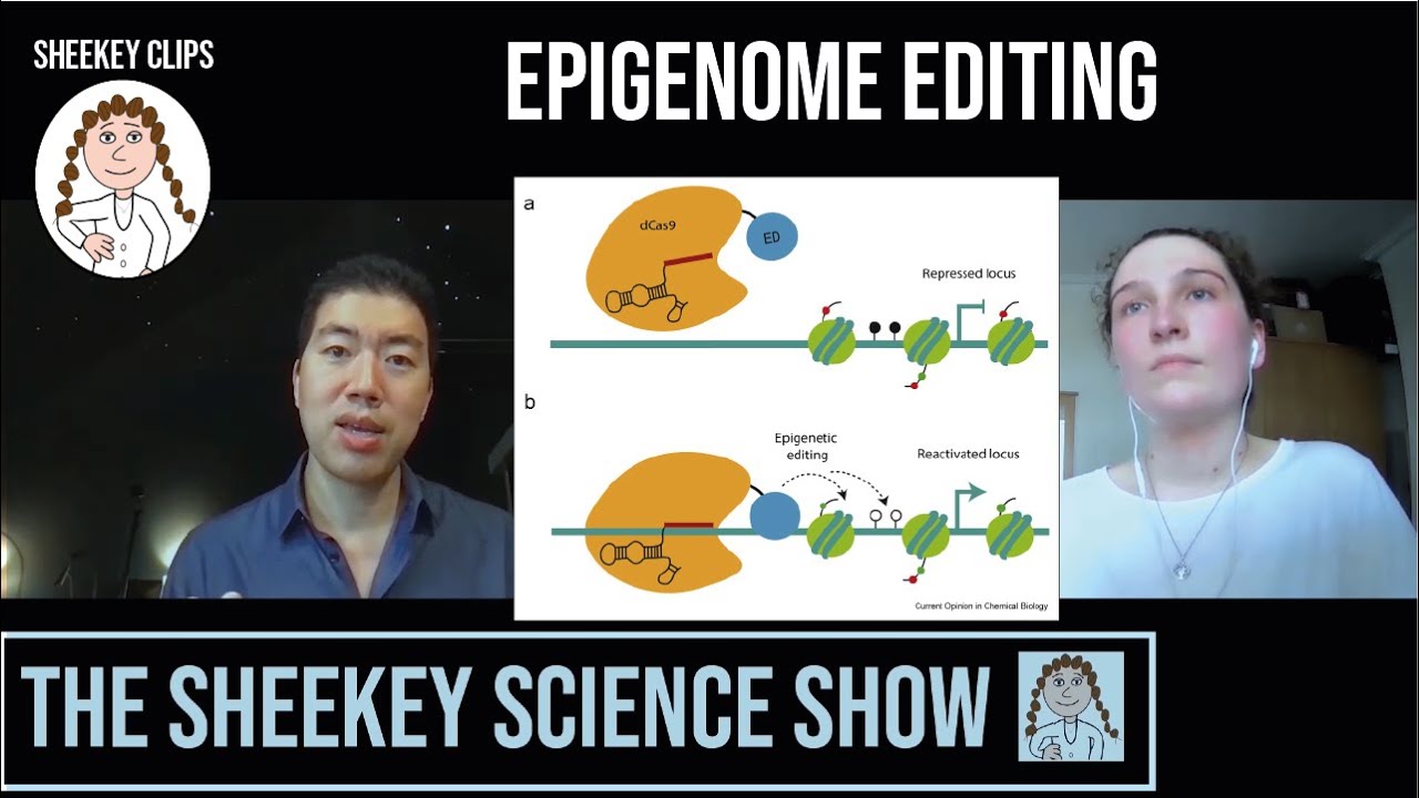 Target aging with precise epigenome editing?