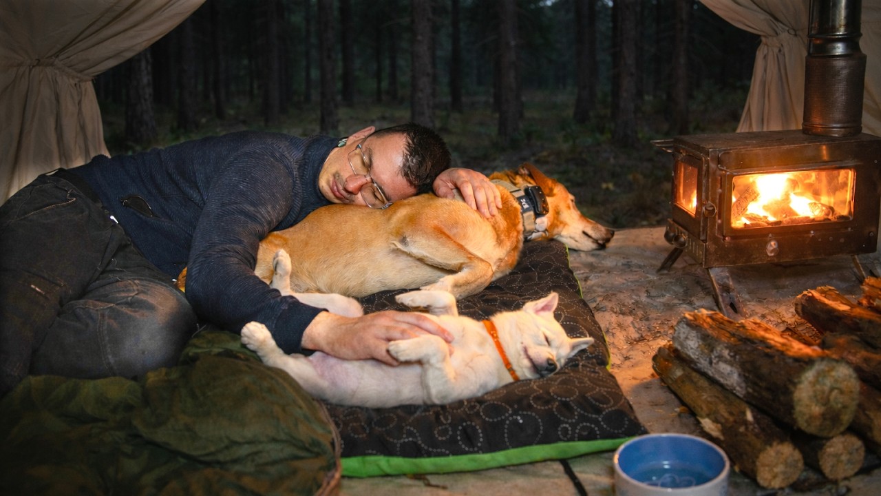 Hot Tent Camping with Dogs and Puppy &ndash; Alone in the Forest at Night