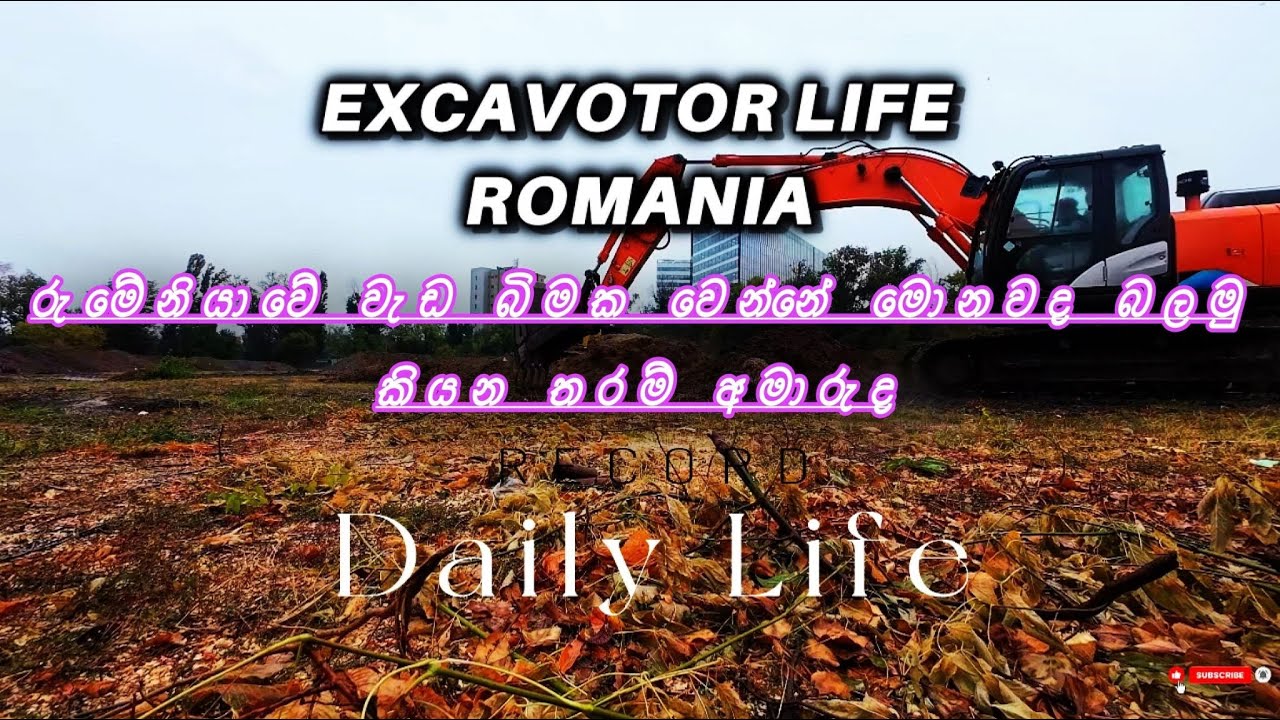 Romania Life 🇷🇴 | Excavator & Bobcat වැඩ | Travel Vlog | දවසේ සොඳුරු දේවල්