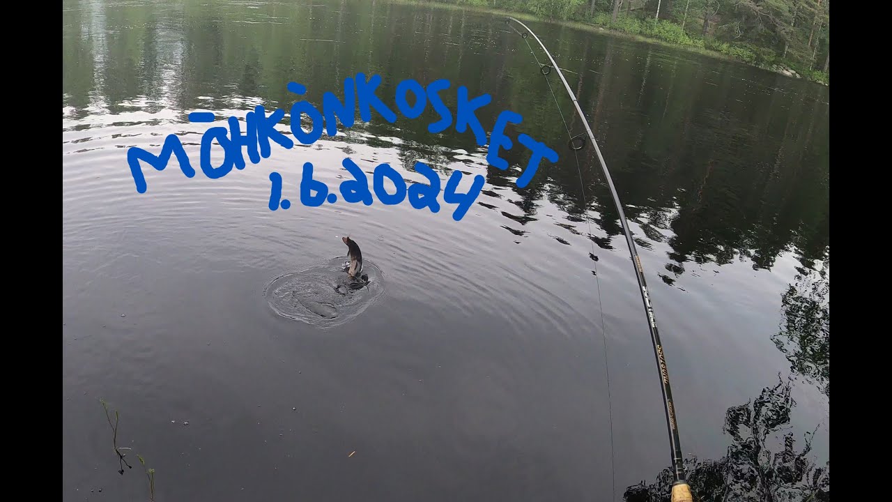 Ilomantsissa Möhkönkoskilla kalastamassa 1.6.2024