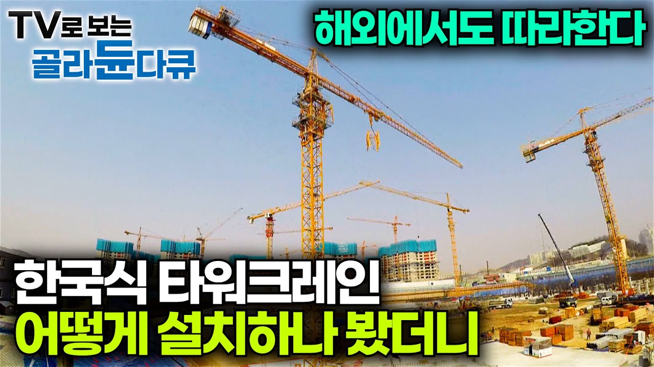 해외 현장에서도 한국식 설치 방법 따라한다. 베테랑 기술자들의 타워크레인 설치하는 과정｜극한직업｜#골라듄다큐
