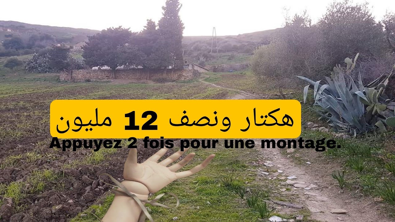 هنا جديد تقريباً 2 هكتار  غي 12 مليون فقط نواحي واد إفران همزة  الأطلس 0679444657 عند جمال وسيط💥💯