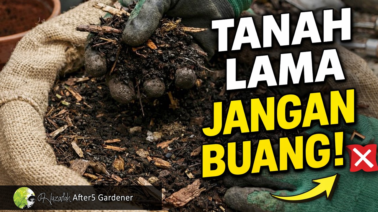 “Tanah Lama Jangan Buang!”