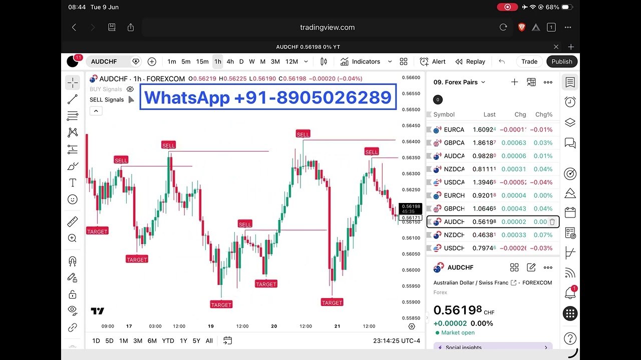 With THIS Advanced Indicator, It's IMPOSSIBLE to Lose! [Next-Level Tool] 
