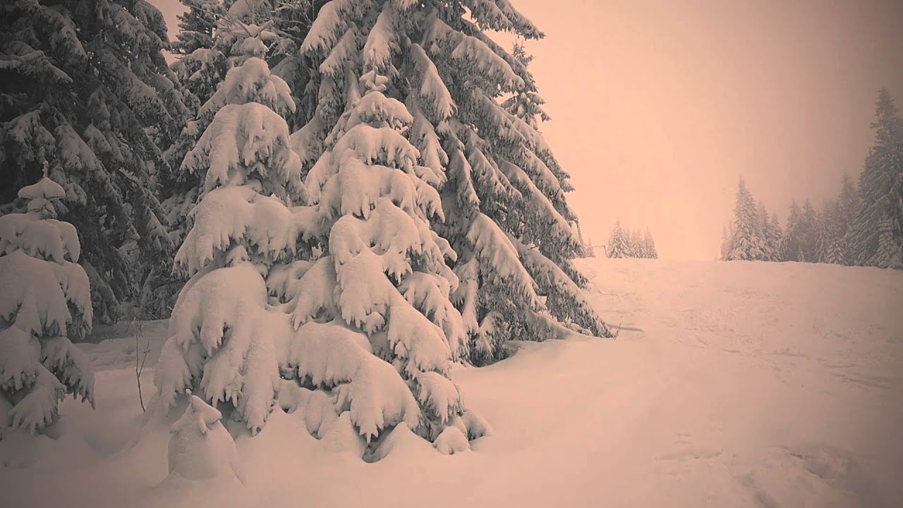 Skitouring breakfast in the Chata pod Chlebom