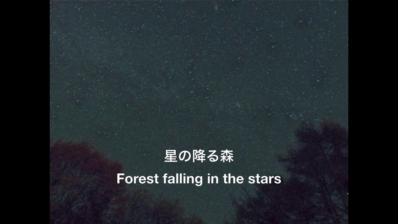 星の降る森：高橋宏樹 (Forest falling in the stars : Hiroki Takahashi)