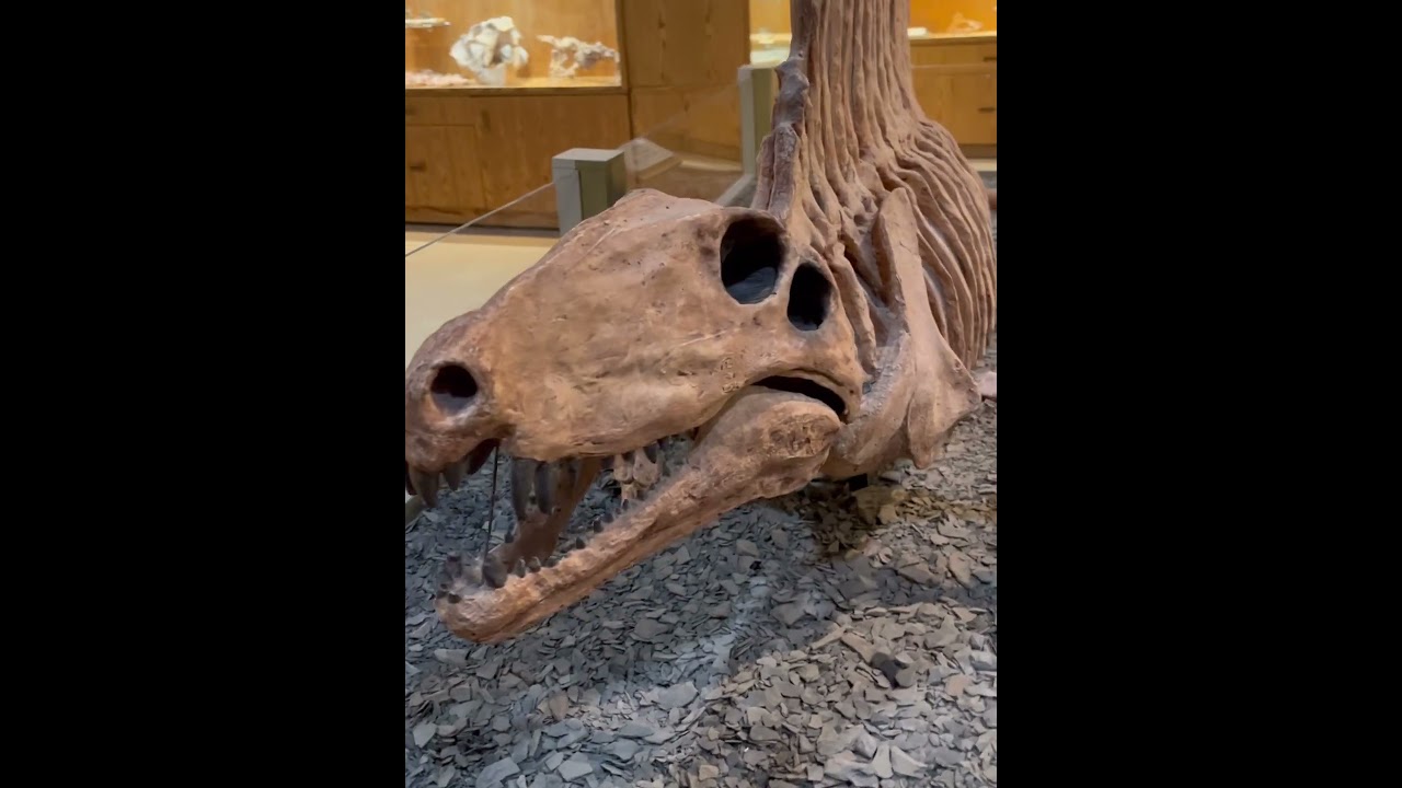 The Wyoming Dinosaur Center 