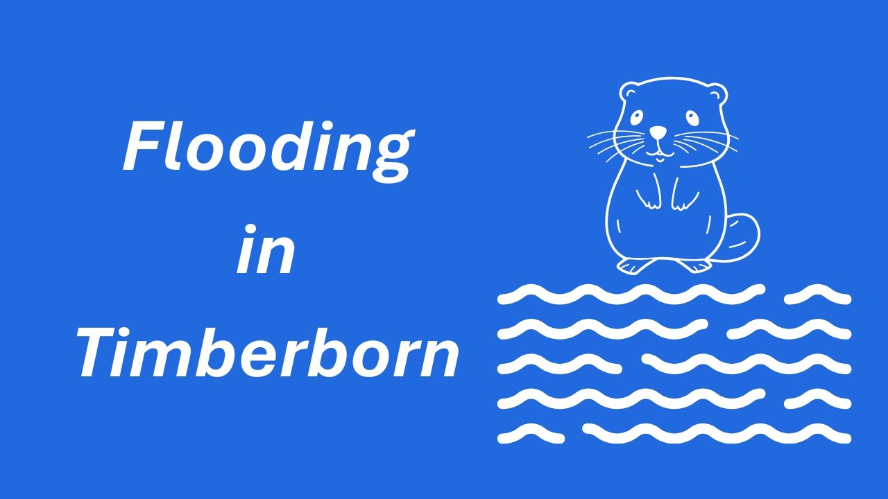 Why does it flood in Timberborn?
