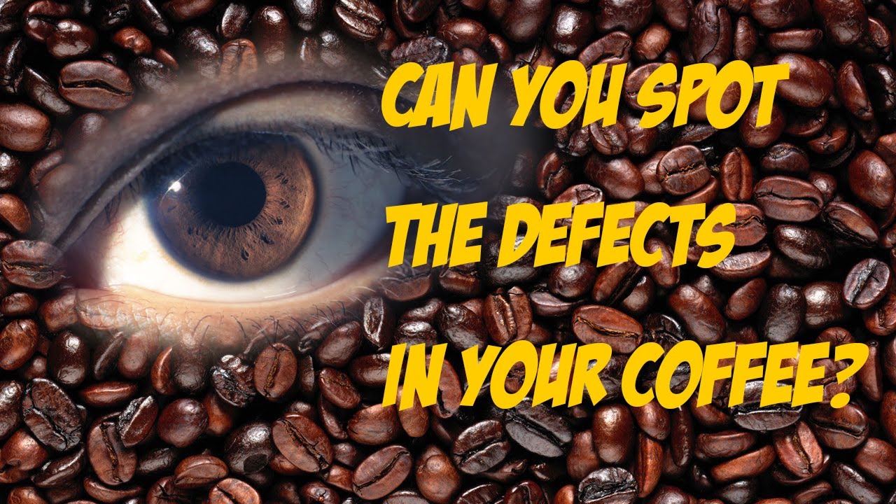 Coffee Roasting Essentials Part 3: Visual roasting defects