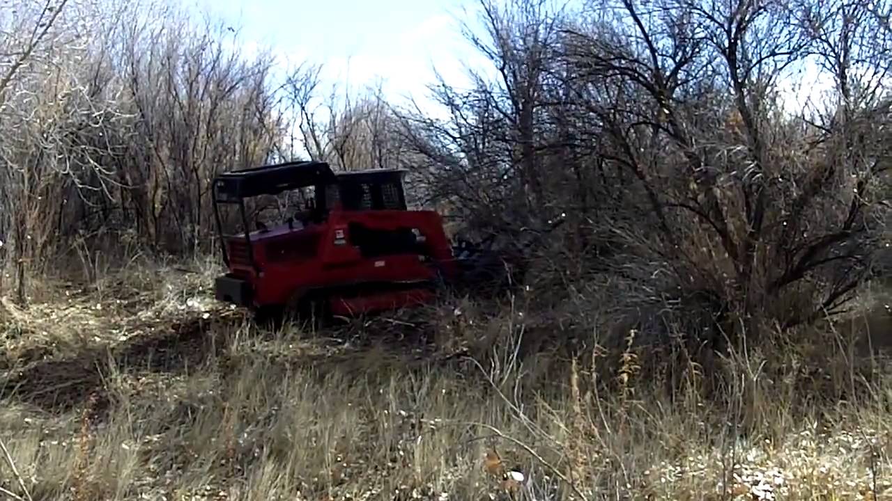 Tamarisk Removal Demo 2010