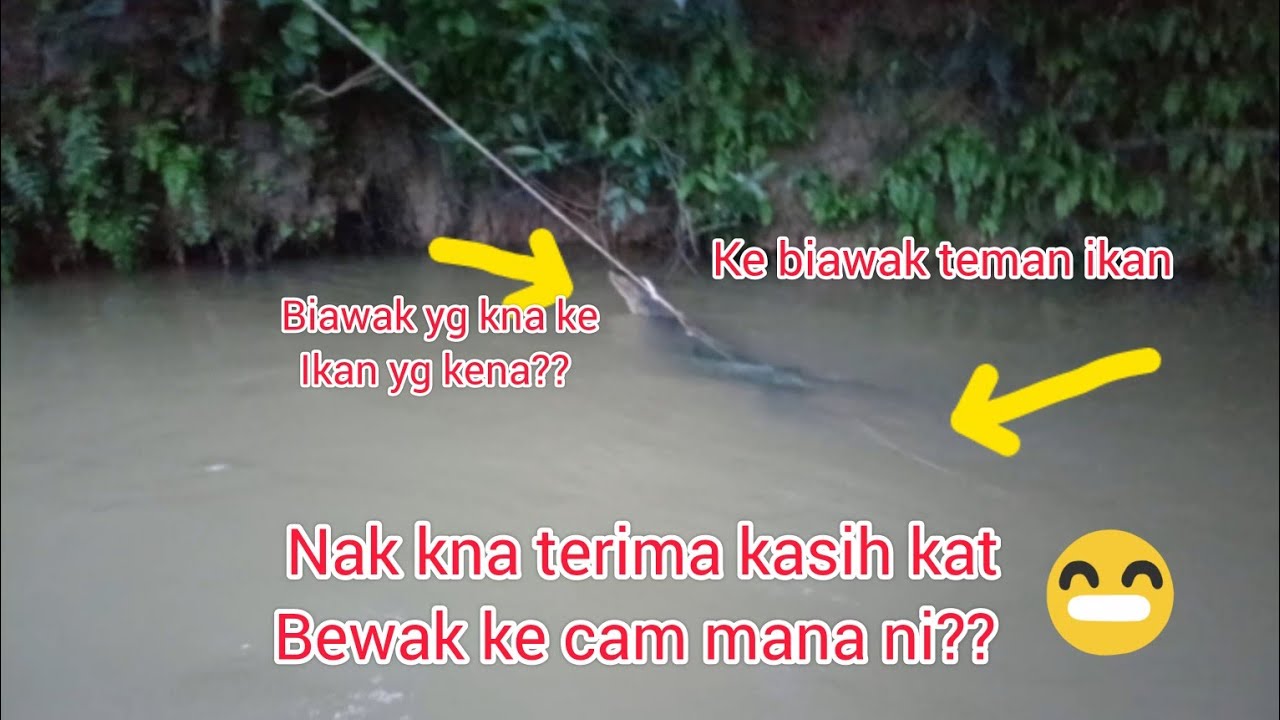 ALHAMDULILLAH... REZEKI BERTURUT TURUT.. SI MEKONG  TEWAS LAGI.. #SRIFT#SLIMRIVER 
