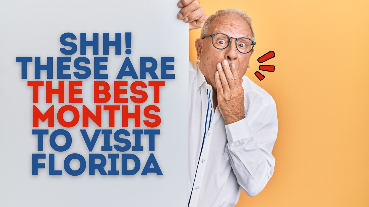 What's The Best Time to Visit Florida? 🌴 A Month by Month Guide