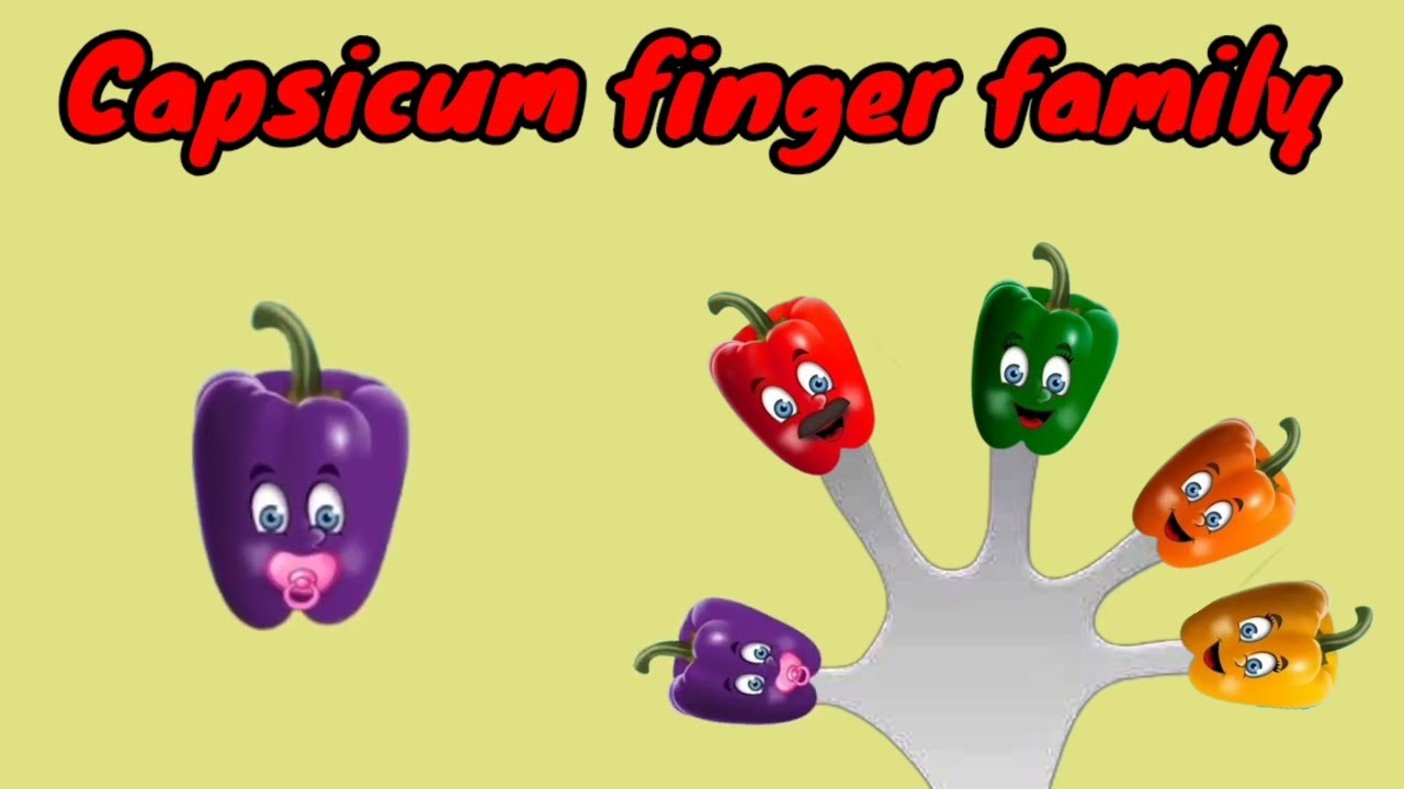 Capsicum Finger Family | Finger Family Song | Am Finger Family Kids Songs & Nursery Rhyme