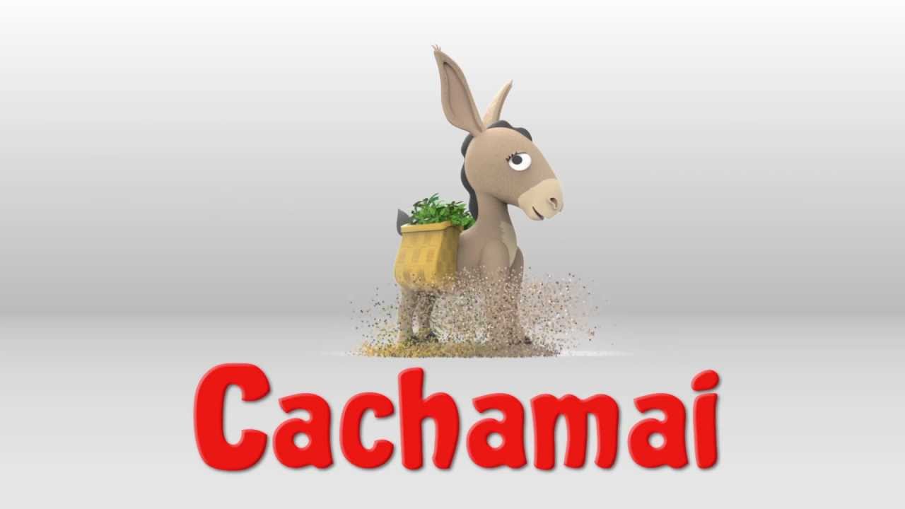 CACHAMAI por Grupo Sense
