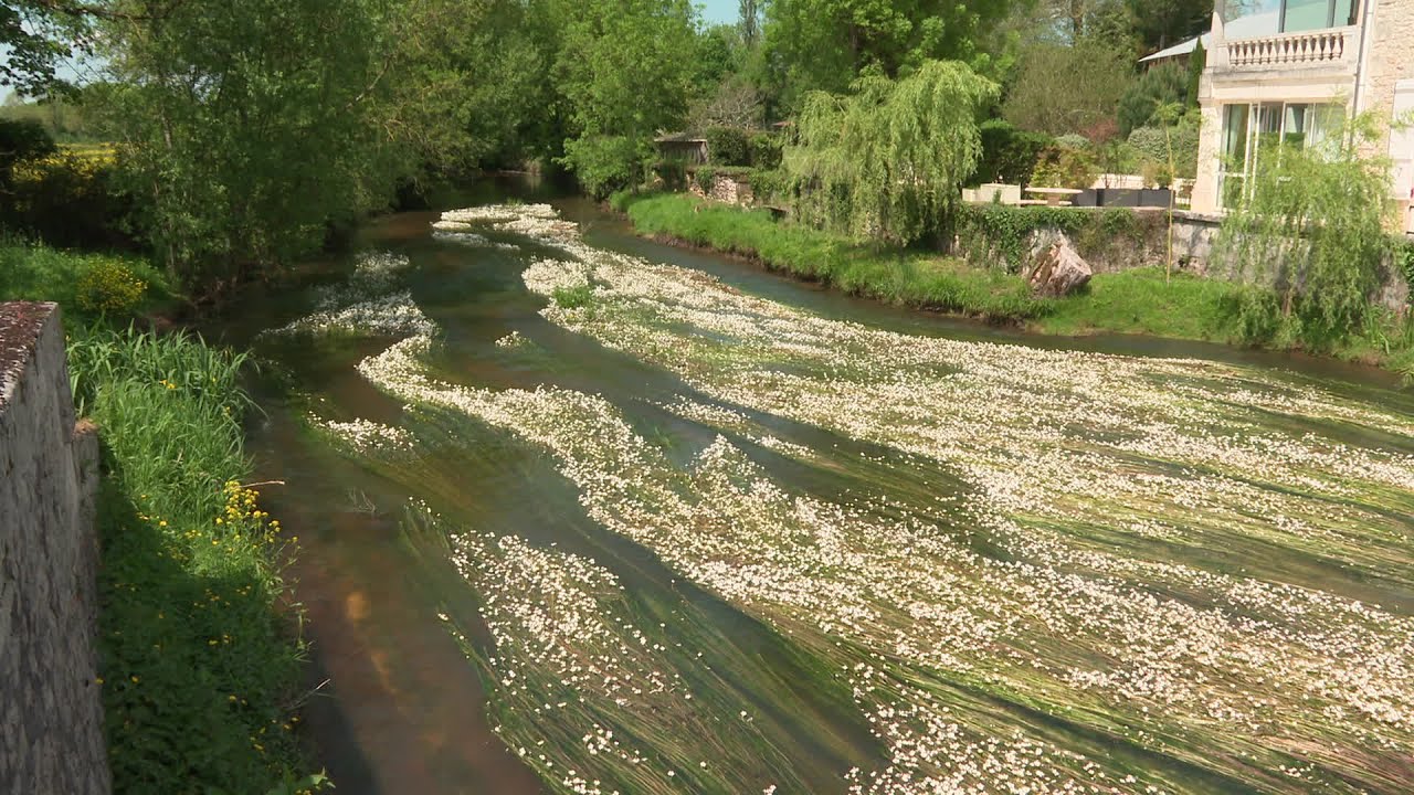Itinéraire bis à Chazelles en Charente
