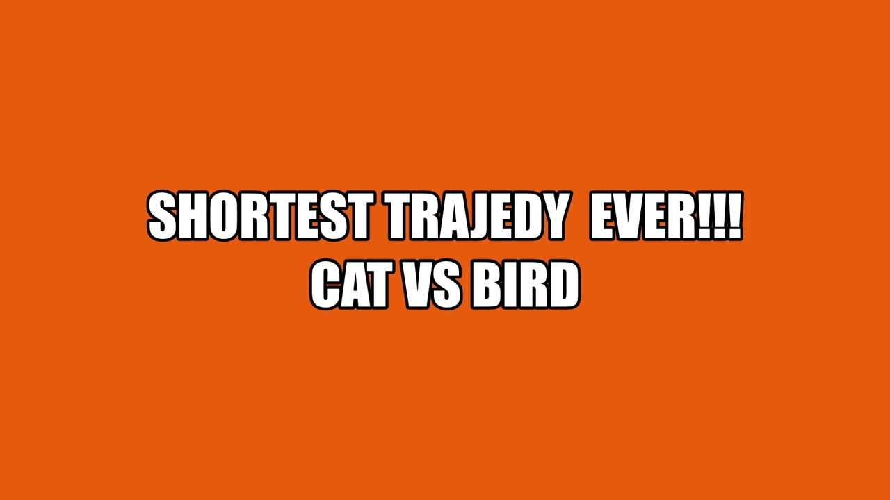 Shortest life of a bird