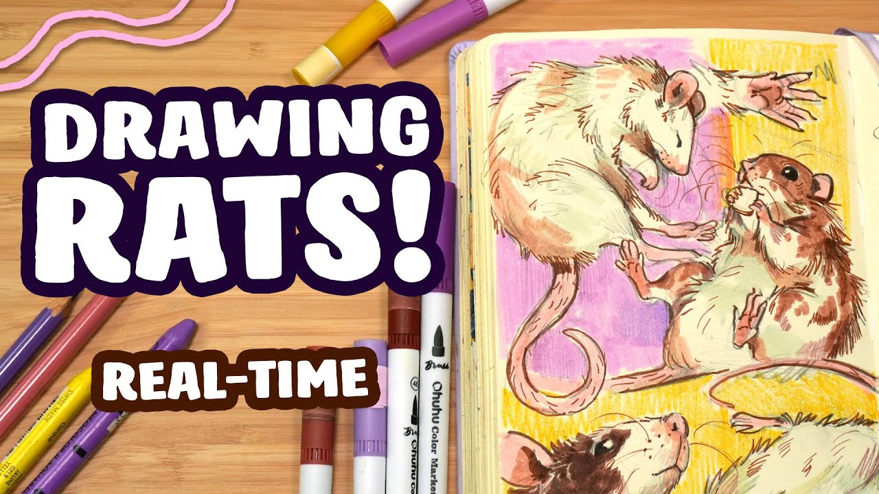 Filling an Entire page in my sketchbook with RATS! (Real-Time Sketching)