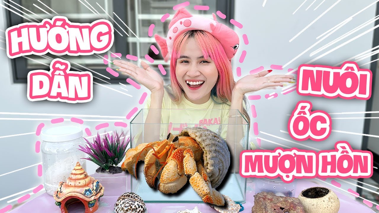 Chị Vê Hướng Dẫn Cách Nuôi Ốc Mượn Hồn - Vê Vê Animal