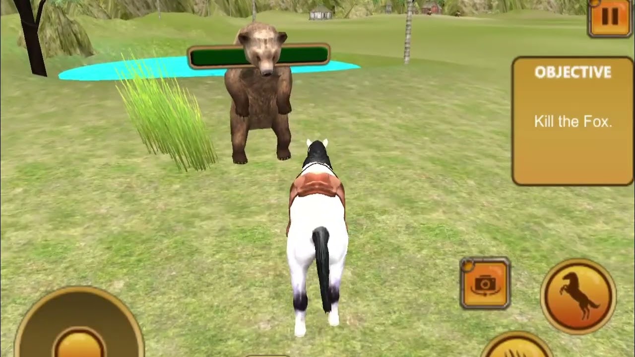 Horse Attacks Bear – Shocking Wildlife Fight Caught on Camera!