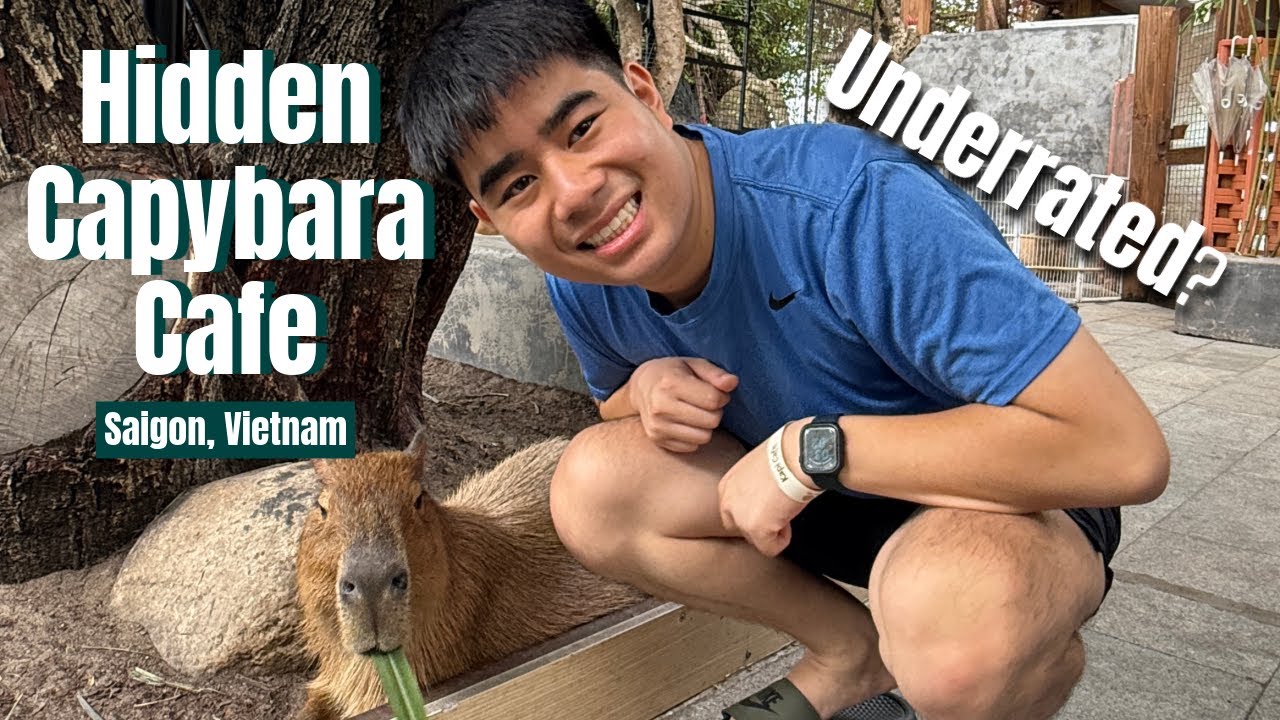 Vietnam’s Most Underrated Capybara Café