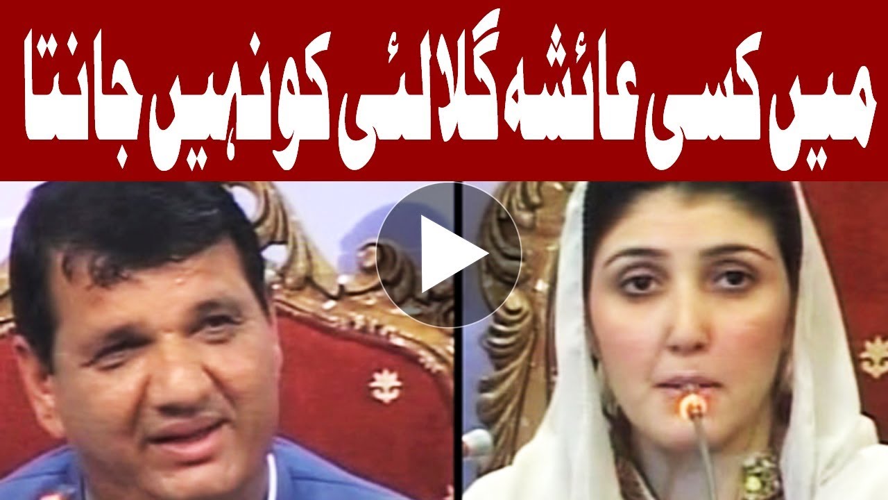 Have nothing to do with Ayesha Gulalai's allegations -  Amir Muqam
