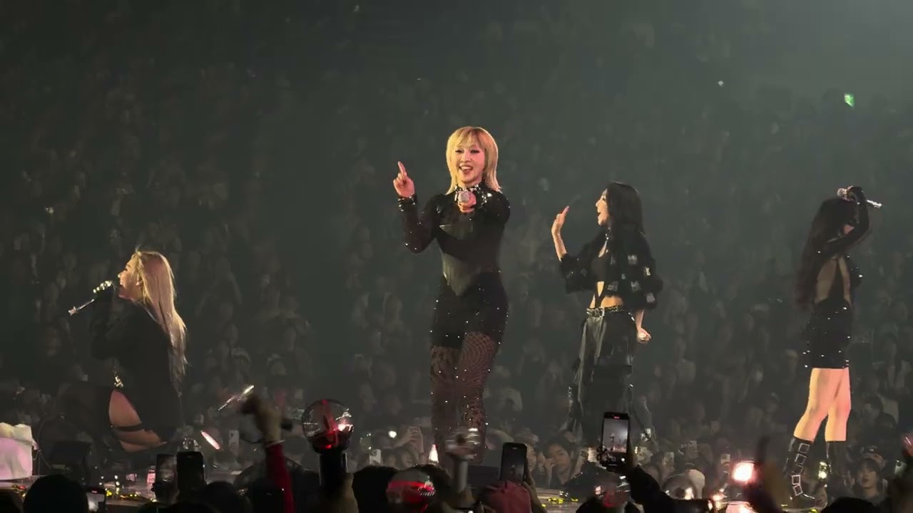 250413 2NE1 - I Don’t Care