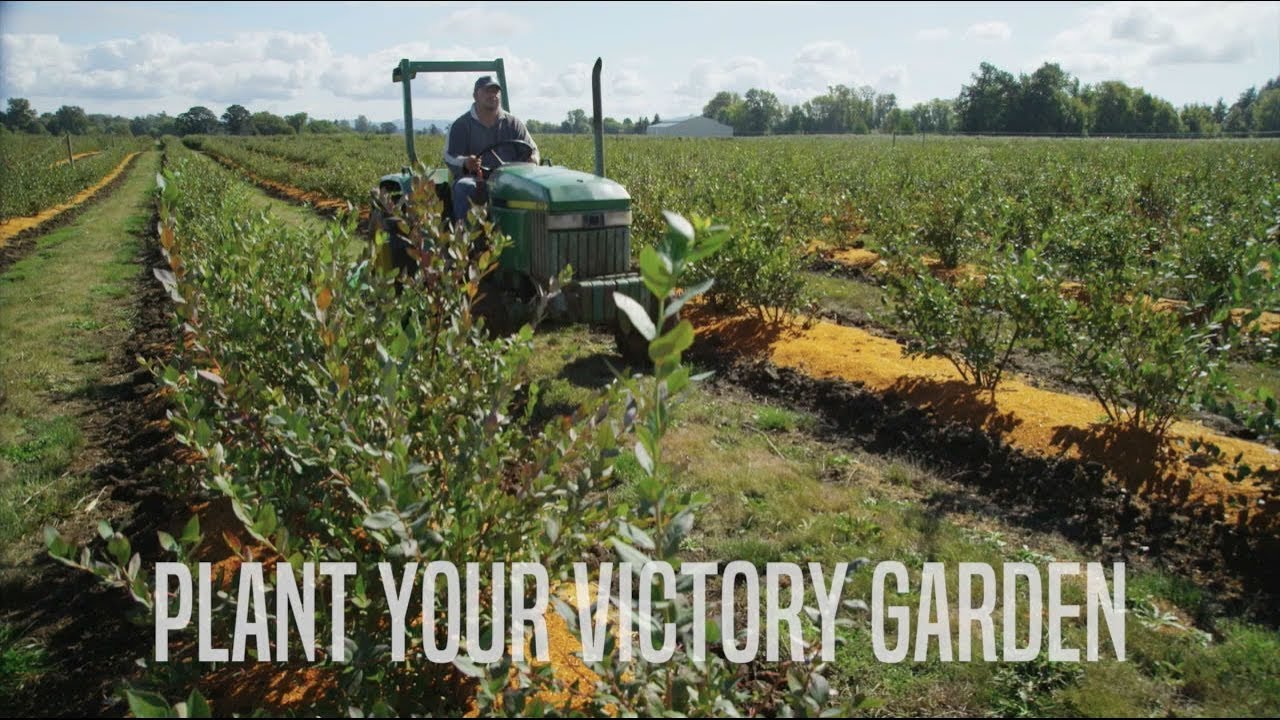 Grow a Jacksonville Victory Garden