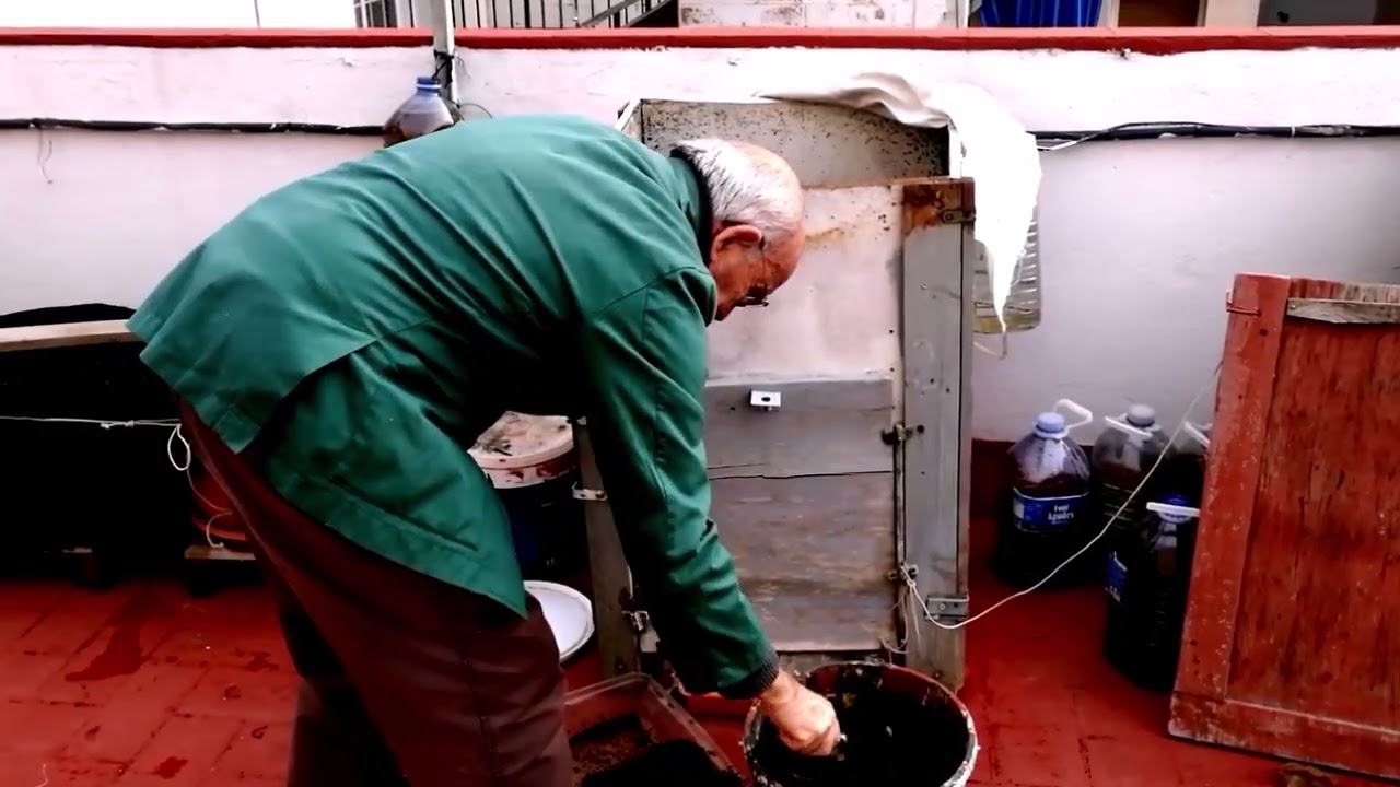La lombriz californiana como alimentarla. How we feed the California earthworm.