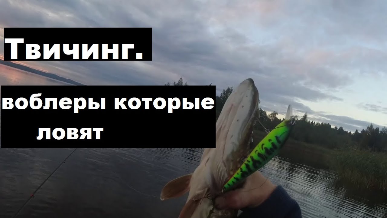 Твичинг  Воблеры которые ловят.