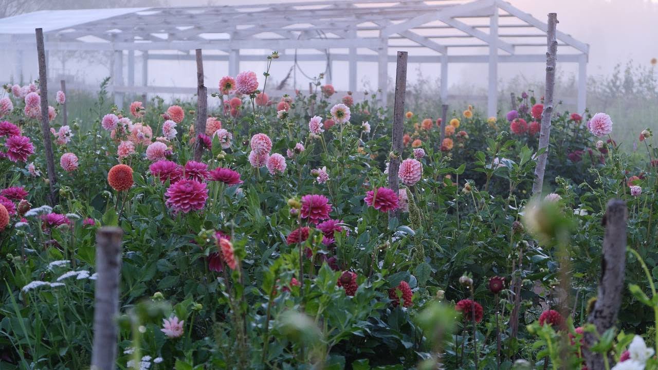 ВСЕ ПРОДАЛА И КУПИЛА 30 ГЕКТАРОВ: МОЯ ИСТОРИЯ