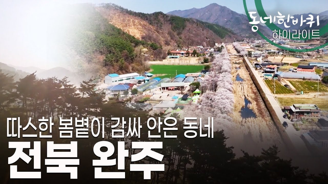 10만 그루의 편백나무 숲이 지친 당신을 품어주는 곳 [동네 한 바퀴] 전북 완주 편 (KBS 20230415 방송)