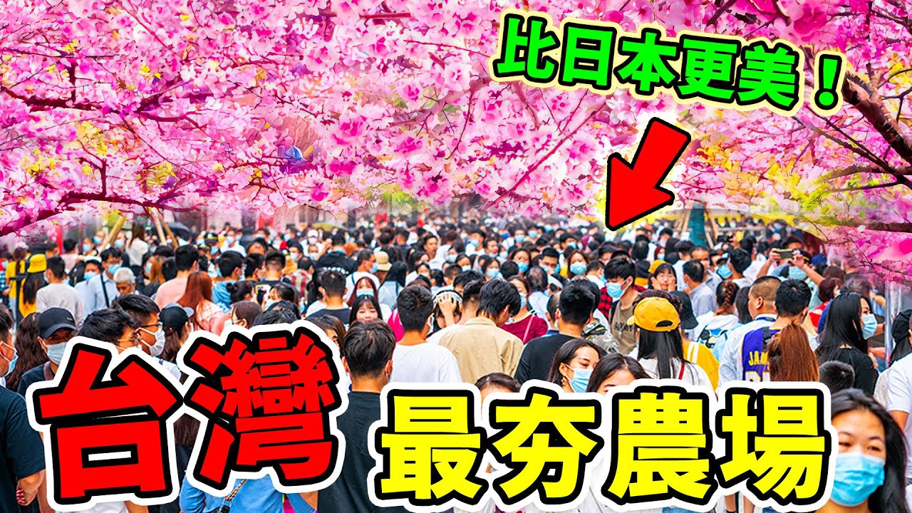 台灣最美的10大神級農場！本地人都想私藏，第一名不來一次根本不算台灣人！