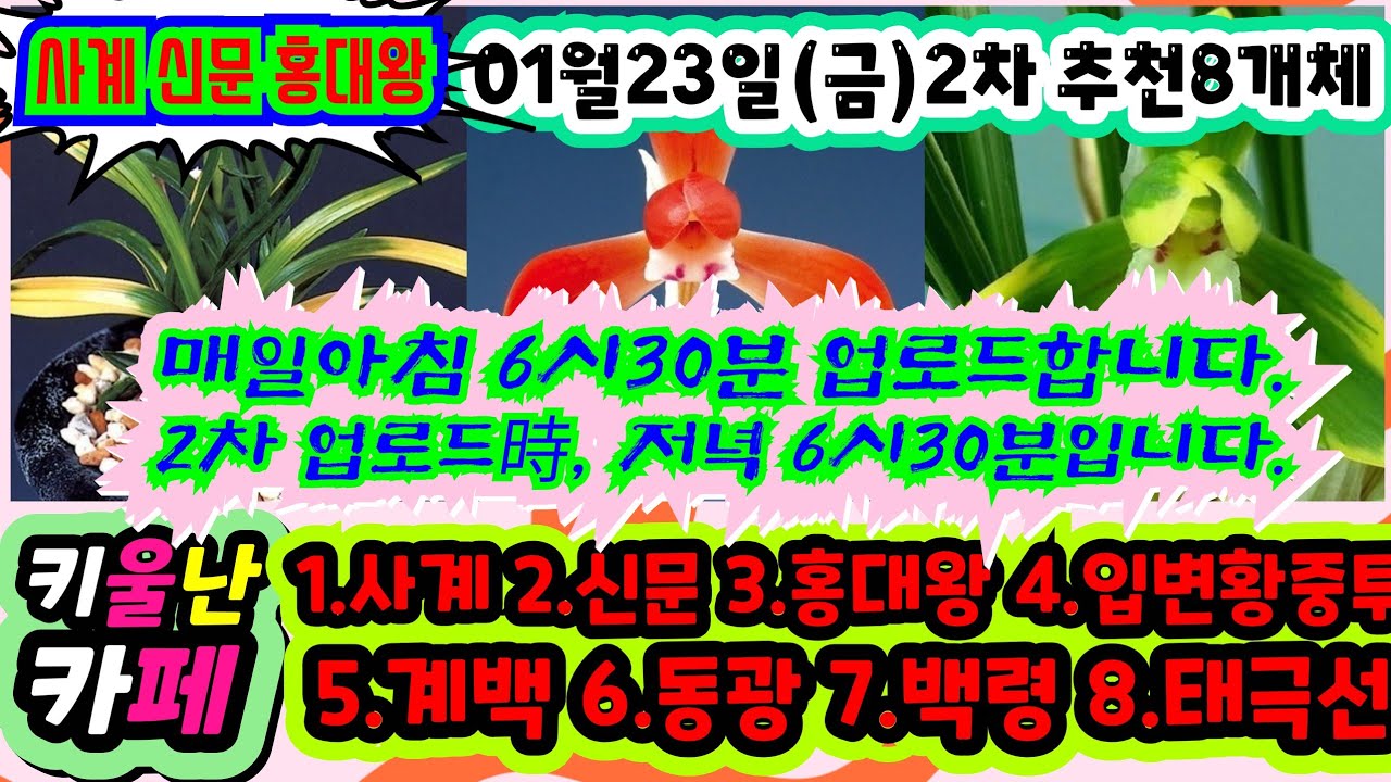 #01/23(금) #2차업로드 #키울난카페 [1.사계 2.신문 3.홍대왕 4.입변황중투 5.계백 6.동광 7.백령 8.태극선]