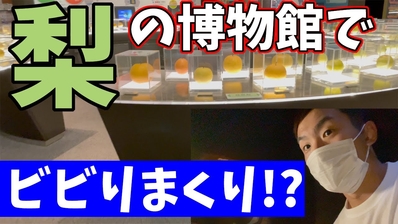 梨の博物館なのにお化け屋敷よりも怖かった！？【鳥取二十世紀梨記念館なしっこ館】梨の食べ比べも！_移202：ﾊﾞｰｳｰ