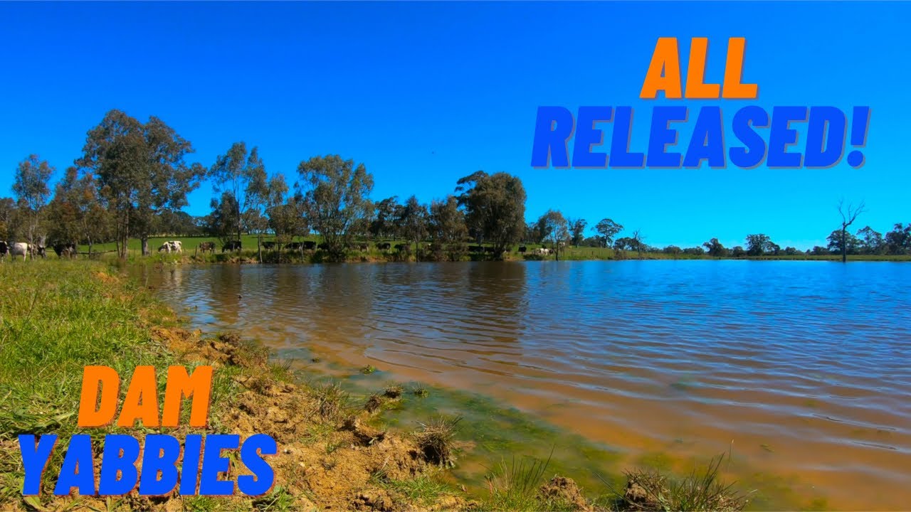 Adelaide Hills DAM YABBIES | Freshwater Crayfish | Fishing South Australia